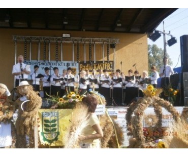 Dożynki Powiatow Gminne w Strzepczu - 14.09.2014r.