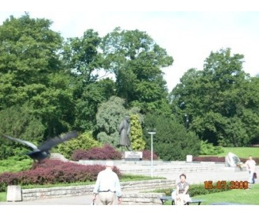 Wycieczka Zrzeszenia Kaszubsko - Pomorskiego Oddział w Lini - Toruń, Strzelno, Licheń, Gąsawa 15-16.07.2009r.