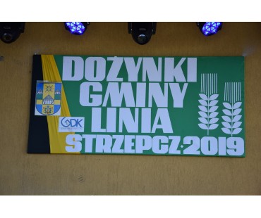 Dożynki Gminne