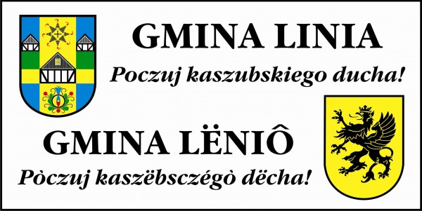 Gmina Linia dziś