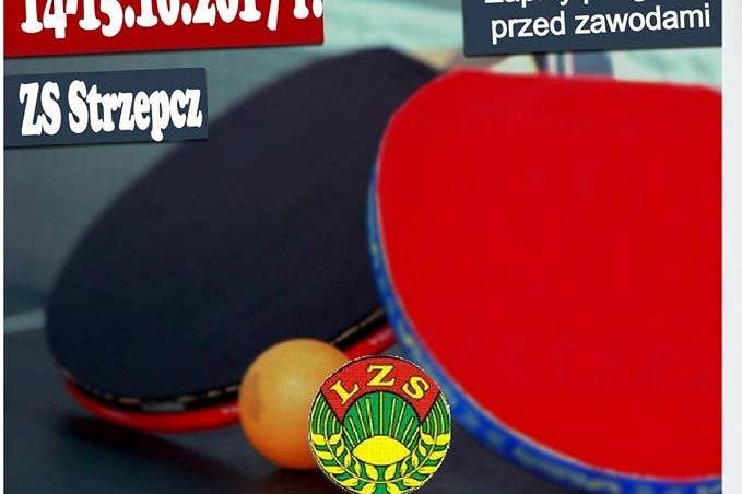 IX Mistrzostwa Gminy Linia w Tenisa Stołowego