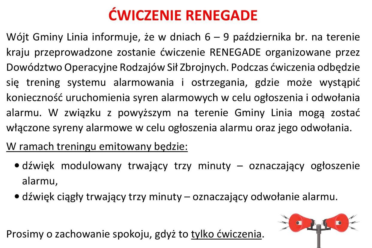 ĆWICZENIE RENEGADE
