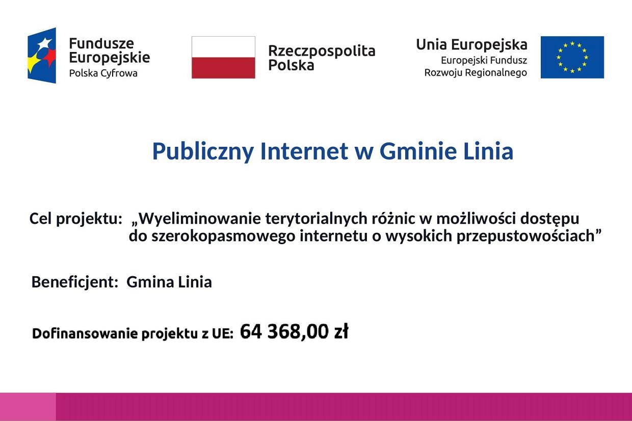 Publiczny Internet w Gminie Linia