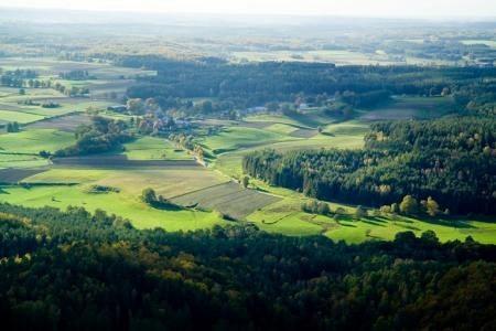 Lotniczy widok na rozległe zielone tereny Gminy Linia, z lasami i polami.
