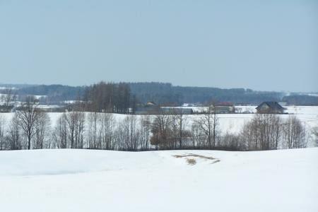 Zimowy krajobraz Kętrzyna z polami pokrytymi śniegiem i linią nagich drzew.