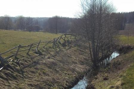 Strumyk płynie przez pole w Lewinku, otoczony suchą roślinnością i drzewami.