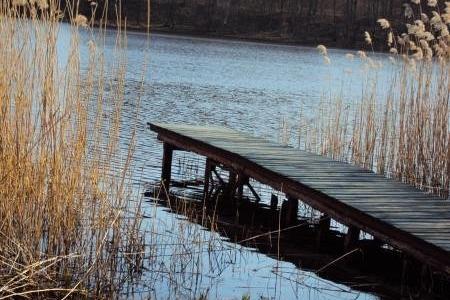 Drewniany pomost w Lewinku nad wodą otoczoną trzcinami.