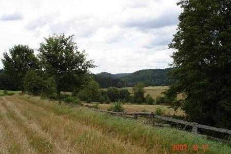 Wiejski krajobraz z polami po żniwach, zielonymi drzewami i pagórkami w tle.