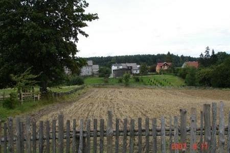 Wiejski widok z drewnianym płotem, gruntową drogą i zabudowaniami Osieka.