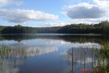 Panoramiczny widok na jezioro w Potęgowie otoczone zielonym lasem z odbiciem błękitnego nieba.