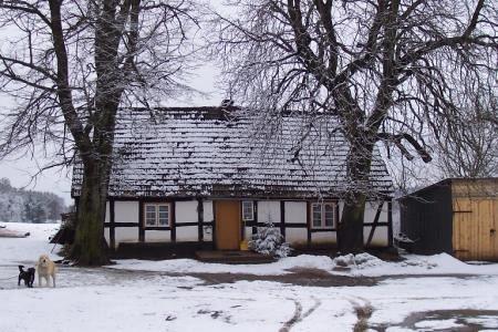 Zasniezony dom z muru pruskiego otoczony drzewami w Smażynie.
