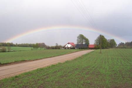 Tęcza nad zielonymi polami i drogą prowadzącą do zabudowań.
