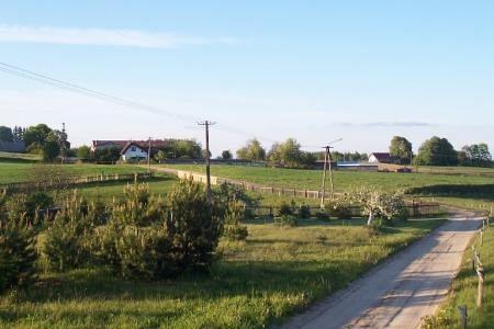 Słoneczny wiejski krajobraz Głodnicy z polami, drogą gruntową i zabudowaniami.