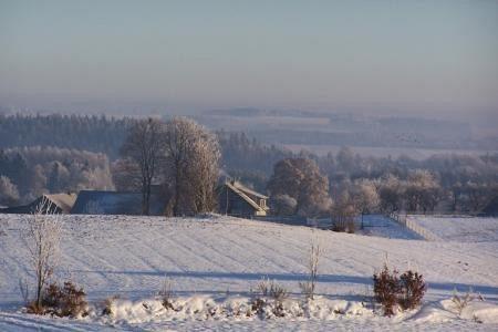 Zimowy widok na ośnieżone pola i drzewa w okolicach Strzepcza.