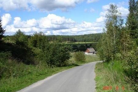 Droga wśród drzew prowadzi do jeziora Strzepcz, nad którym widać most.
