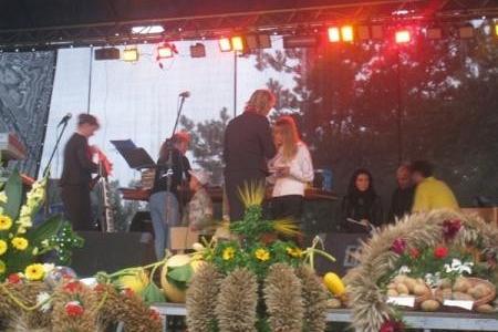 Ludzie na scenie podczas Dożynek Gminnych 2008 z wieńcami dożynkowymi na pierwszym planie.