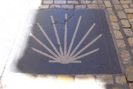 Symbol muszli św. Jakuba na ciemnej płytce w bruku, znak szlaku pielgrzymkowego.