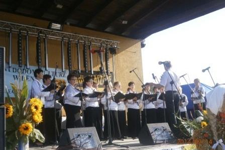 Zespół muzyczny na scenie podczas dożynek w otoczeniu słoneczników.