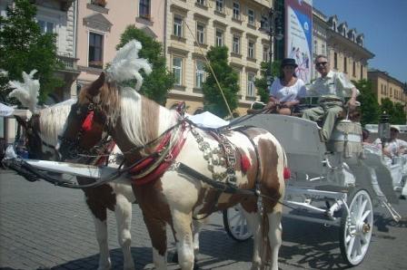 Dwa konie ciągną dorożkę turystyczną na tle kamienic, prawdopodobnie w Krakowie.