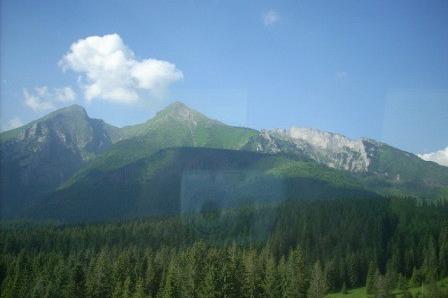 Widok na Tatry z zielonym lasem i błękitnym niebem podczas wycieczki.