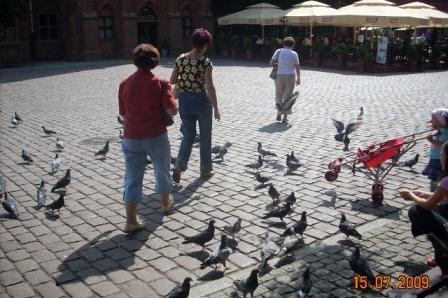 Uczestnicy wycieczki z Kaszubsko-Pomorskiego oddziału wśród gołębi na brukowanym placu.