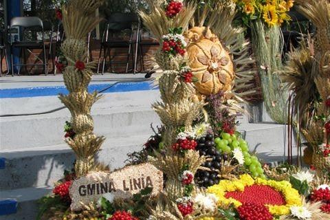Puchar Marszałka Senatu - Bogdana Borusewicza dla Gminy Linia 12.10.2010r.