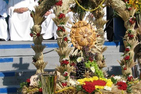 Puchar Marszałka Senatu - Bogdana Borusewicza dla Gminy Linia 12.10.2010r.