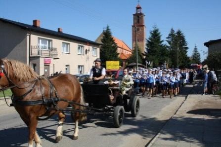 Dożynki Gminne - Strzepcz 2011 04.08.2011r.