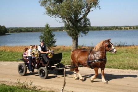Dożynki Gminne - Strzepcz 2011 04.08.2011r.