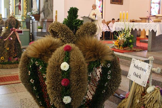 DOŻYNKI GMINNE - STRZEPCZ 2016