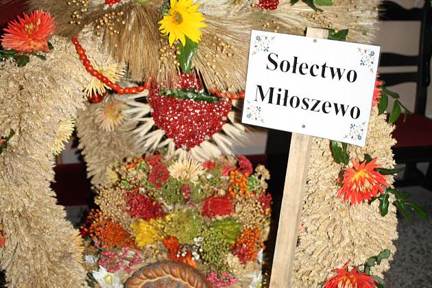 DOŻYNKI GMINNE - STRZEPCZ 2016