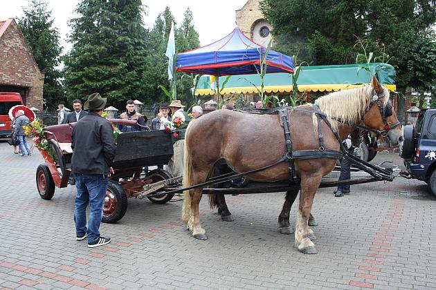 DOŻYNKI GMINNE - STRZEPCZ 2016