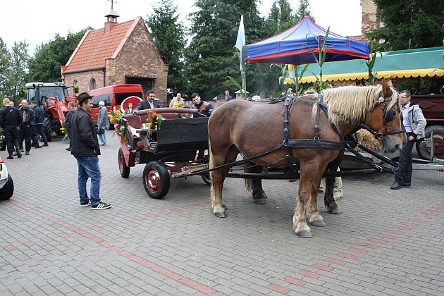 DOŻYNKI GMINNE - STRZEPCZ 2016