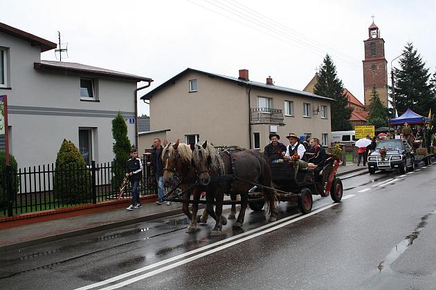 DOŻYNKI GMINNE - STRZEPCZ 2016