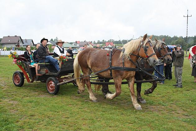 DOŻYNKI GMINNE - STRZEPCZ 2016