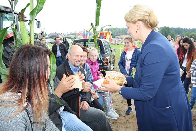 DOŻYNKI GMINNE - STRZEPCZ 2016