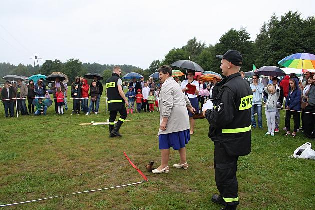 DOŻYNKI GMINNE - STRZEPCZ 2016