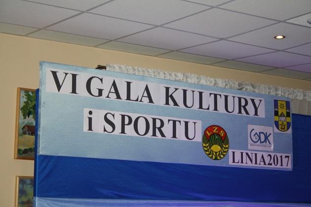 VI Gala Kultury i Sportu Gminy Linia