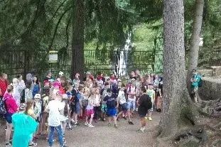 Uczestnicy letniej kolonii językowej w Karpaczu idą grupą po leśnym szlaku.